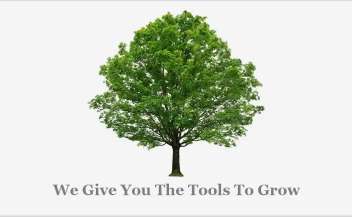 Image if a Tree with text "We Give You the Tools To Grow" under it